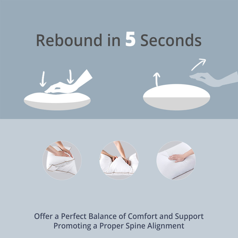 Arsuite Zendaya Down Blend Plush Pillow & Reviews | Wayfair